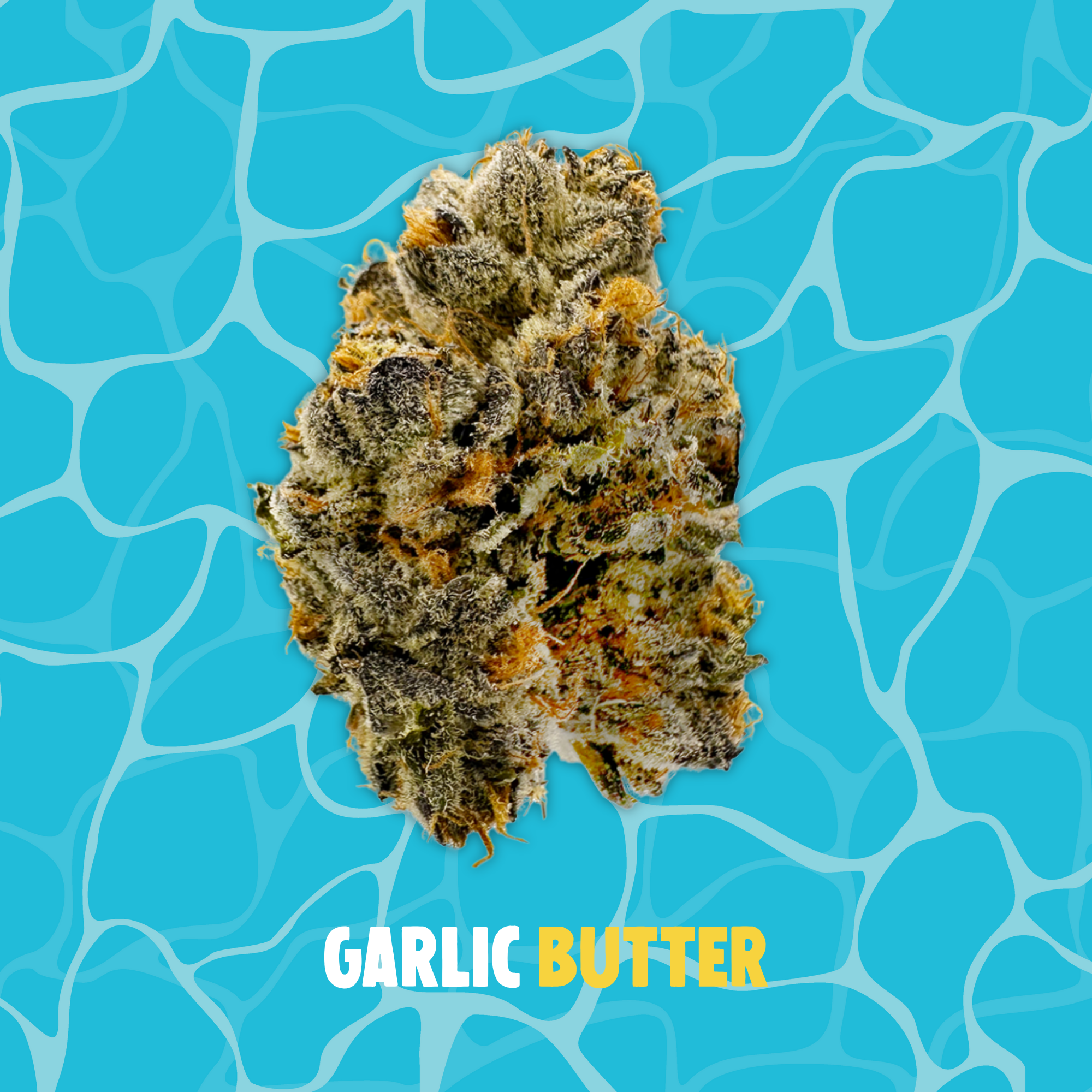Photograph of product: Buoyant Bob - Garlic Butter - Deli Flower - 2g