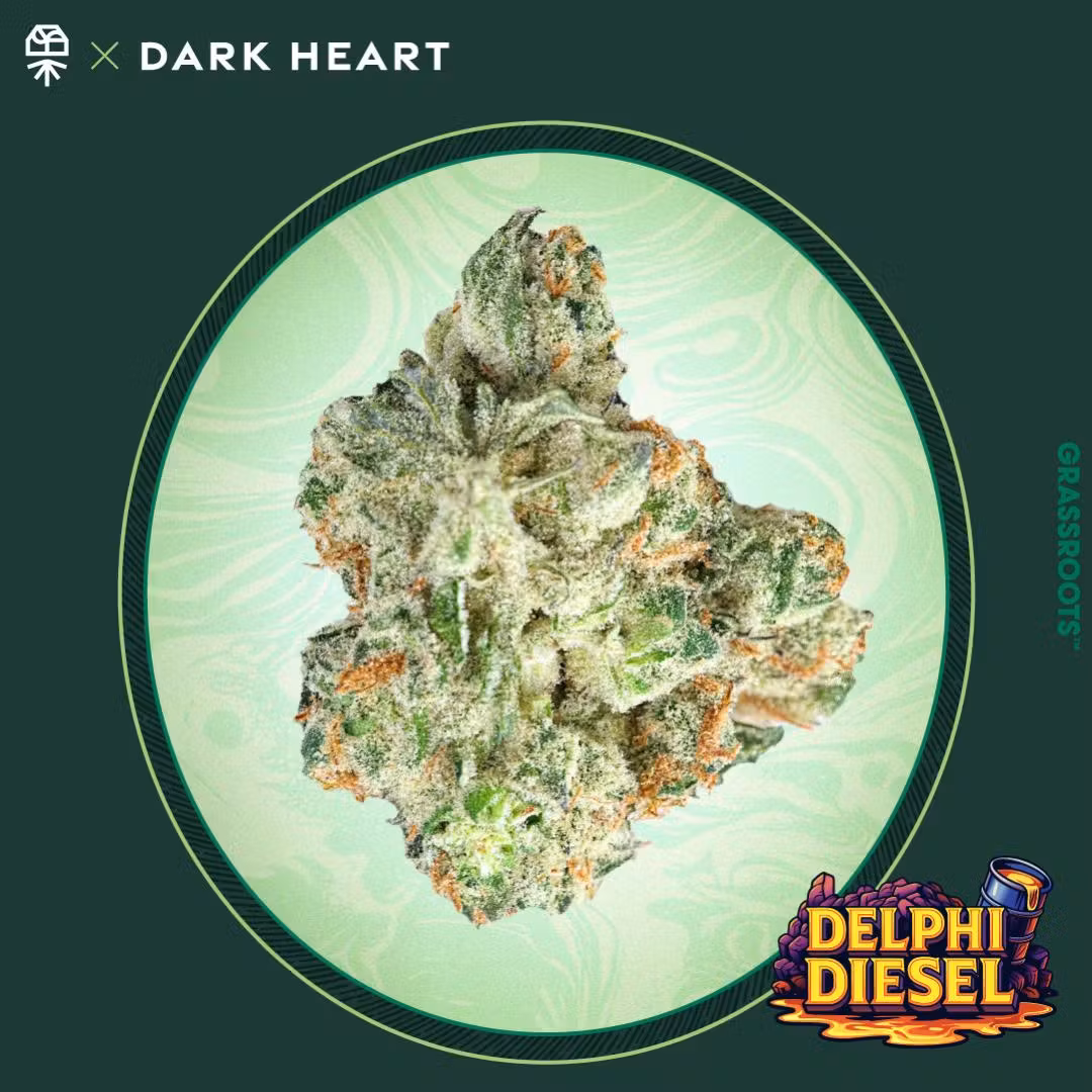 Photograph of product: Grassroots - Delphi Diesel (S) - 27.43% - Flower - 14g