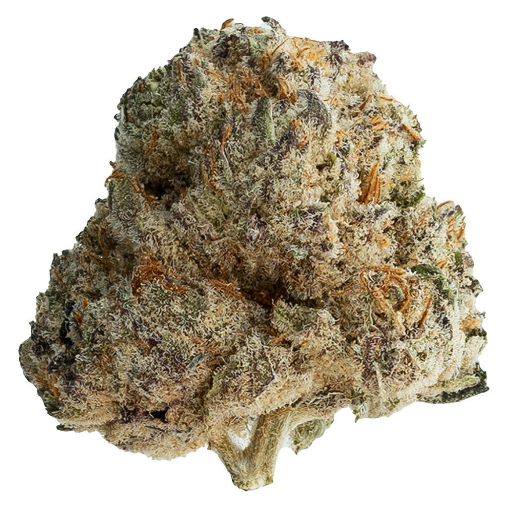 Photograph of product: GLL | Shot Caller | Flower | Bulk/Deli - 28g