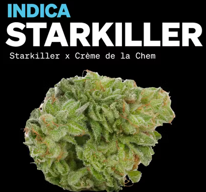 Photograph of product: Essence - Starkiller Flower - 3.5g