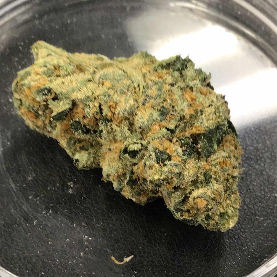 Photograph of product: FMF Mendo Punch - 1g