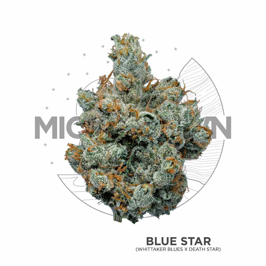 Photograph of product: Michigrown - Blue Star 3.5g