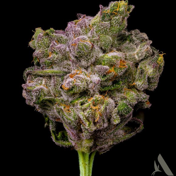 Photograph of product: Affinity Flower 3.5g Hot Hunnie (H)