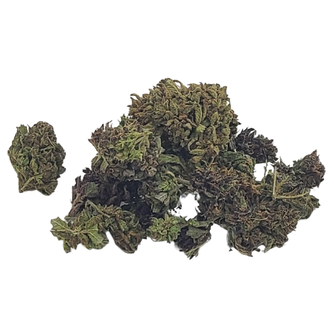 Photograph of product: Oceana Gardens | Squirt - 70g