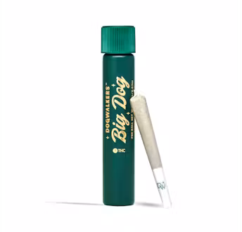 Photograph of product: 0.75g L'Orange Big Dog Pre-Roll