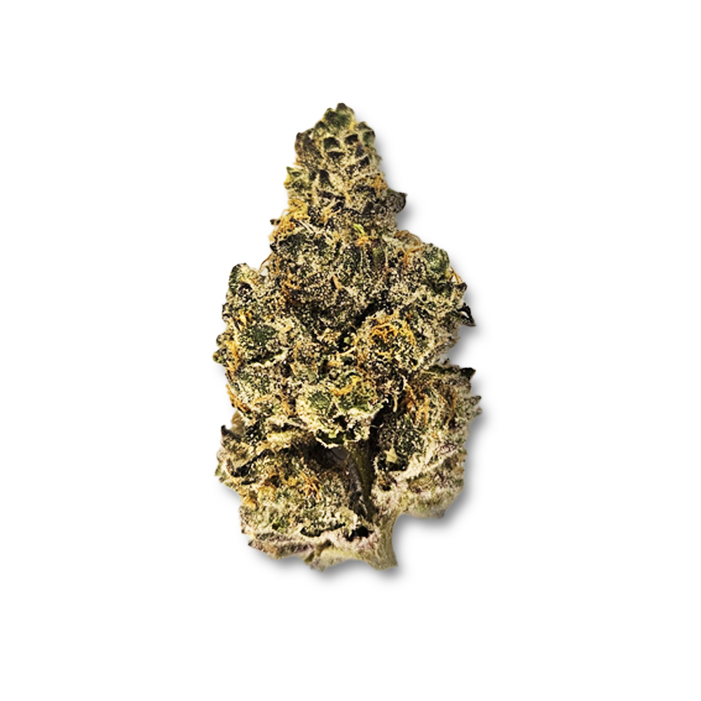 Photograph of product: Sunset Sherbert BX1 *Special* (June '25 Harvest) - 28g