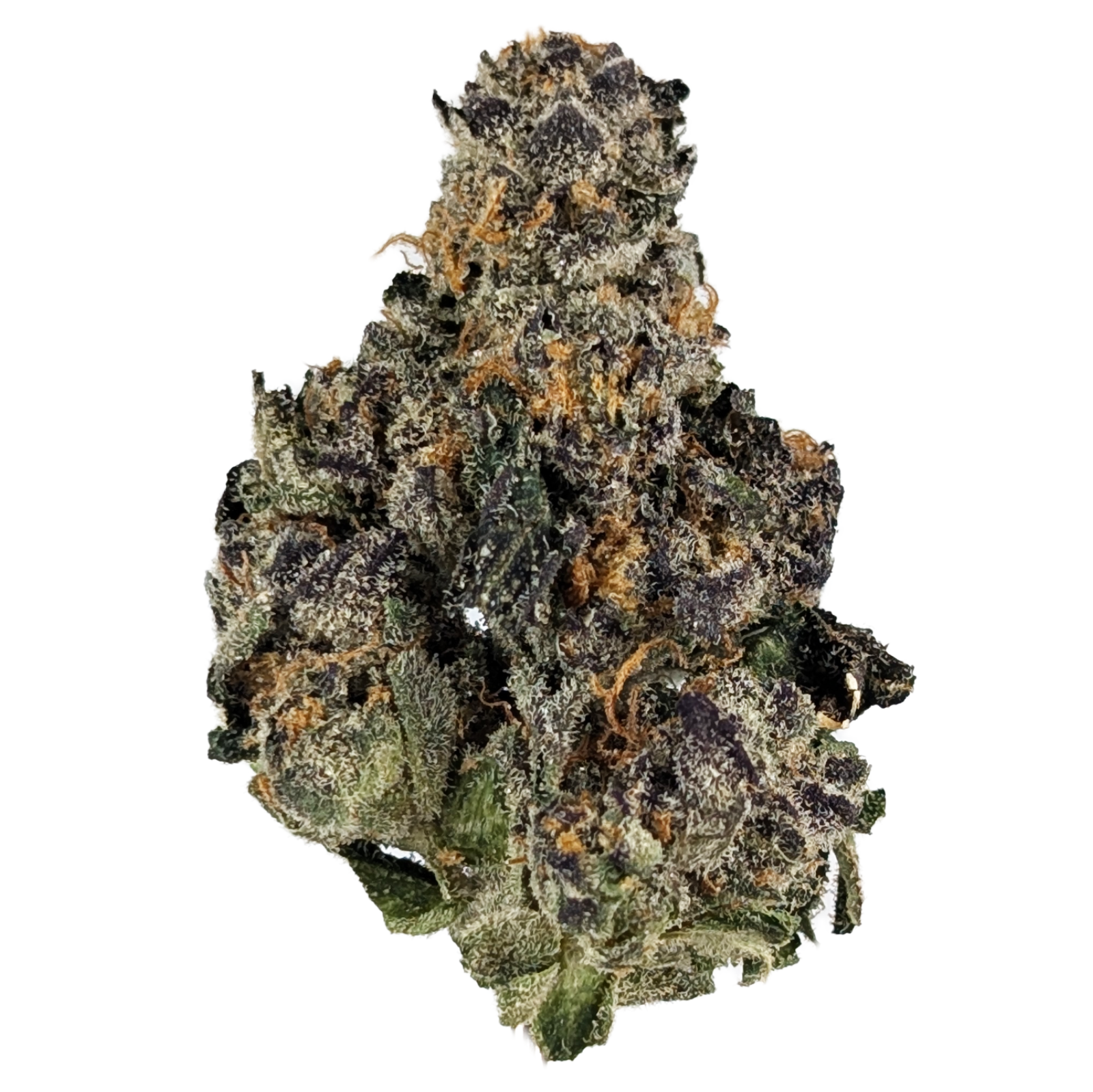 Photograph of product: GMO SHERBCRASHER - BULK FLOWER - 1g