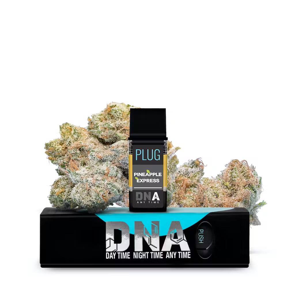 Photograph of product: PlugPlay 1g Vape Pineapple Express - DNA