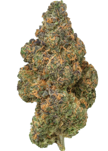 Photograph of product: Flyte Co. | BLACK MAPLE - 2g