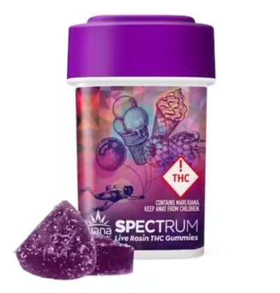 Photograph of product: AR-Wana Live Rosin Gummies Berry Gelato 100mg 10pk