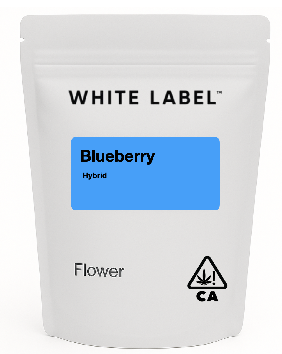 Photograph of product: BLUEBERRY 3.5G FLOWER