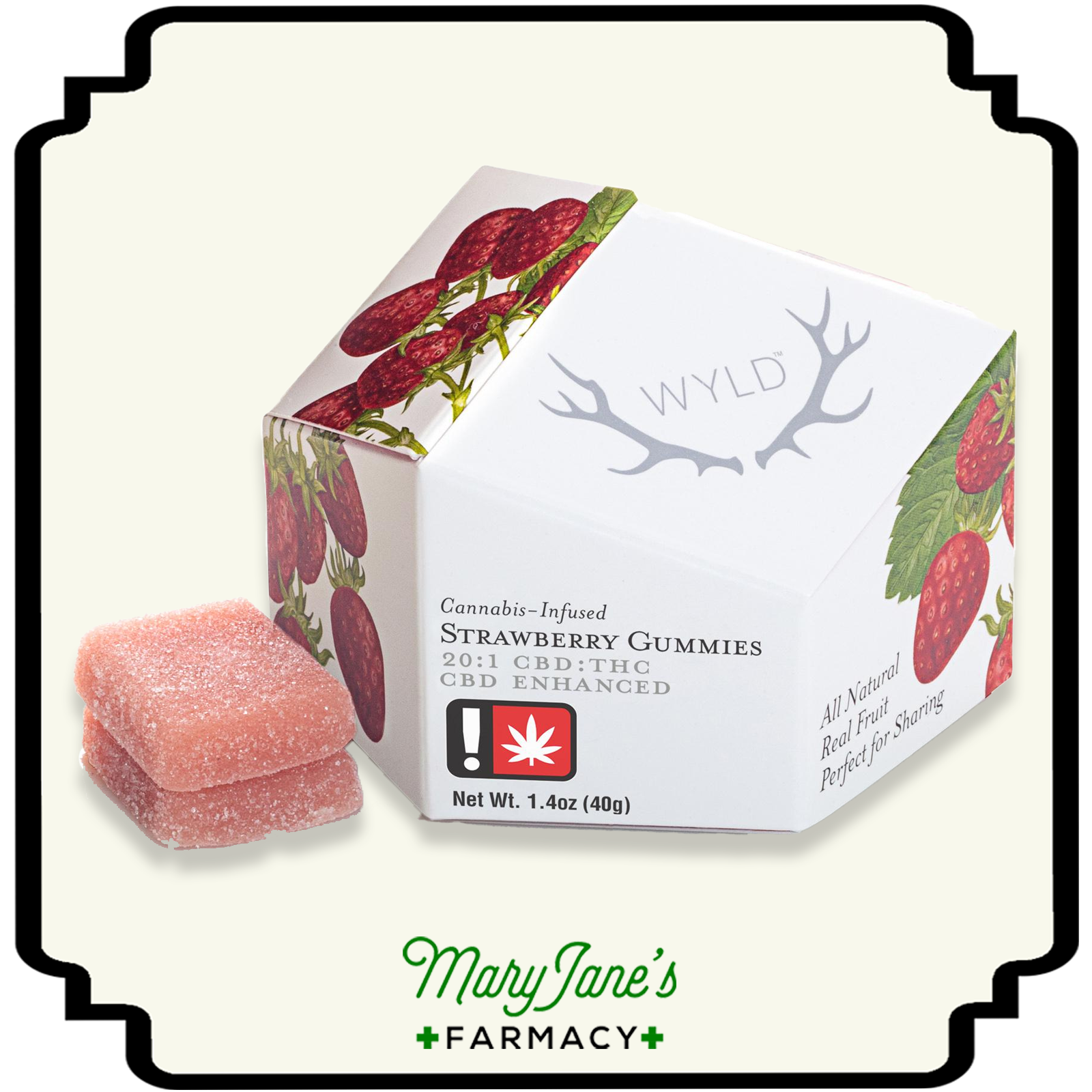Photograph of product: Strawberry 20:1 CBD + Hybrid Enhanced Gummies 10-Pack | 100mg