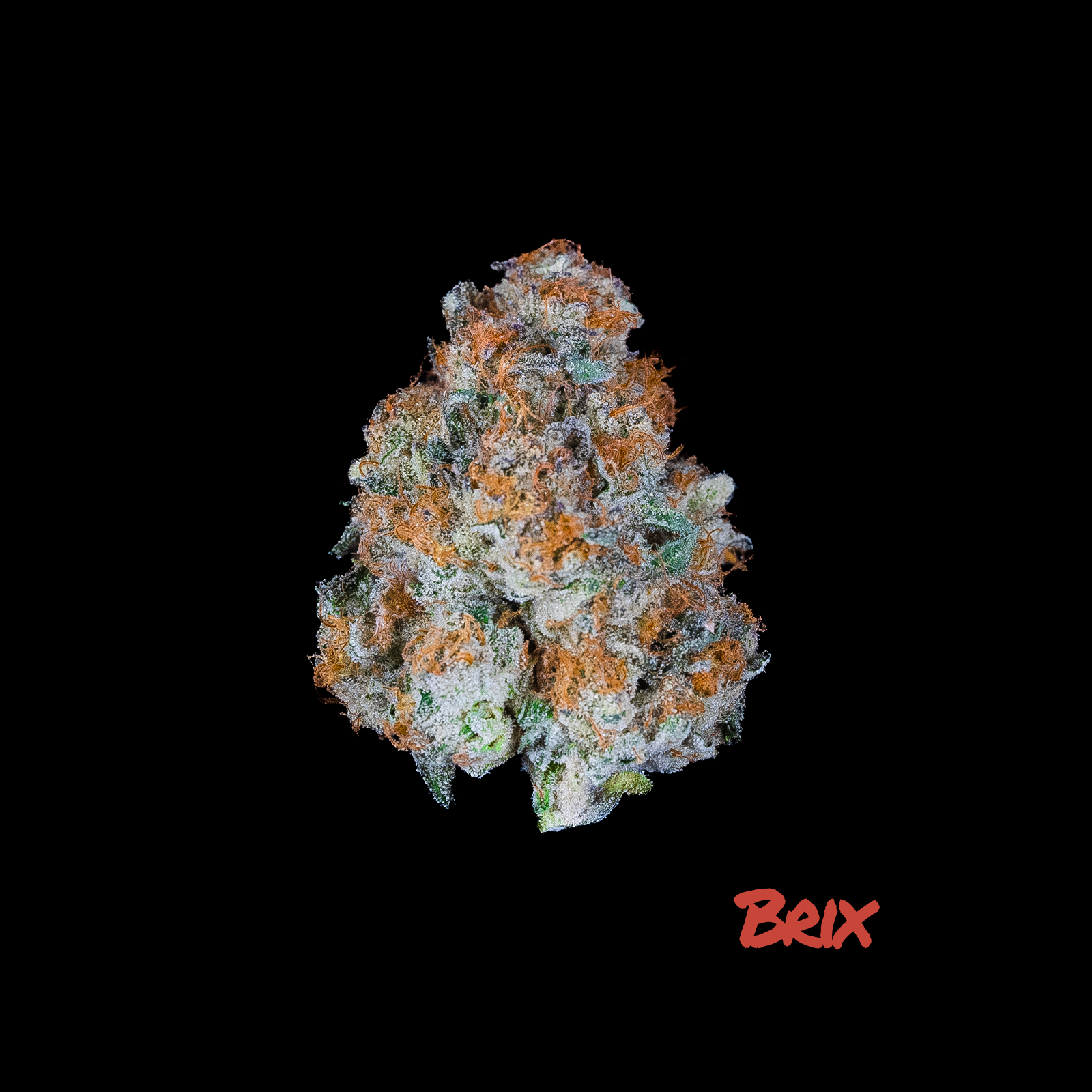 Photograph of product: Brix Oui'd Whole Flower Soap (S) 00249 - 3.5g