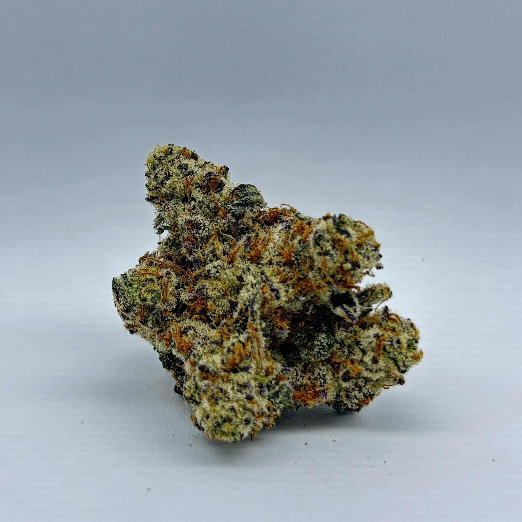 Photograph of product: MoneyMaker-Flower-|Oui'd-Dominant|KT - 3.5g