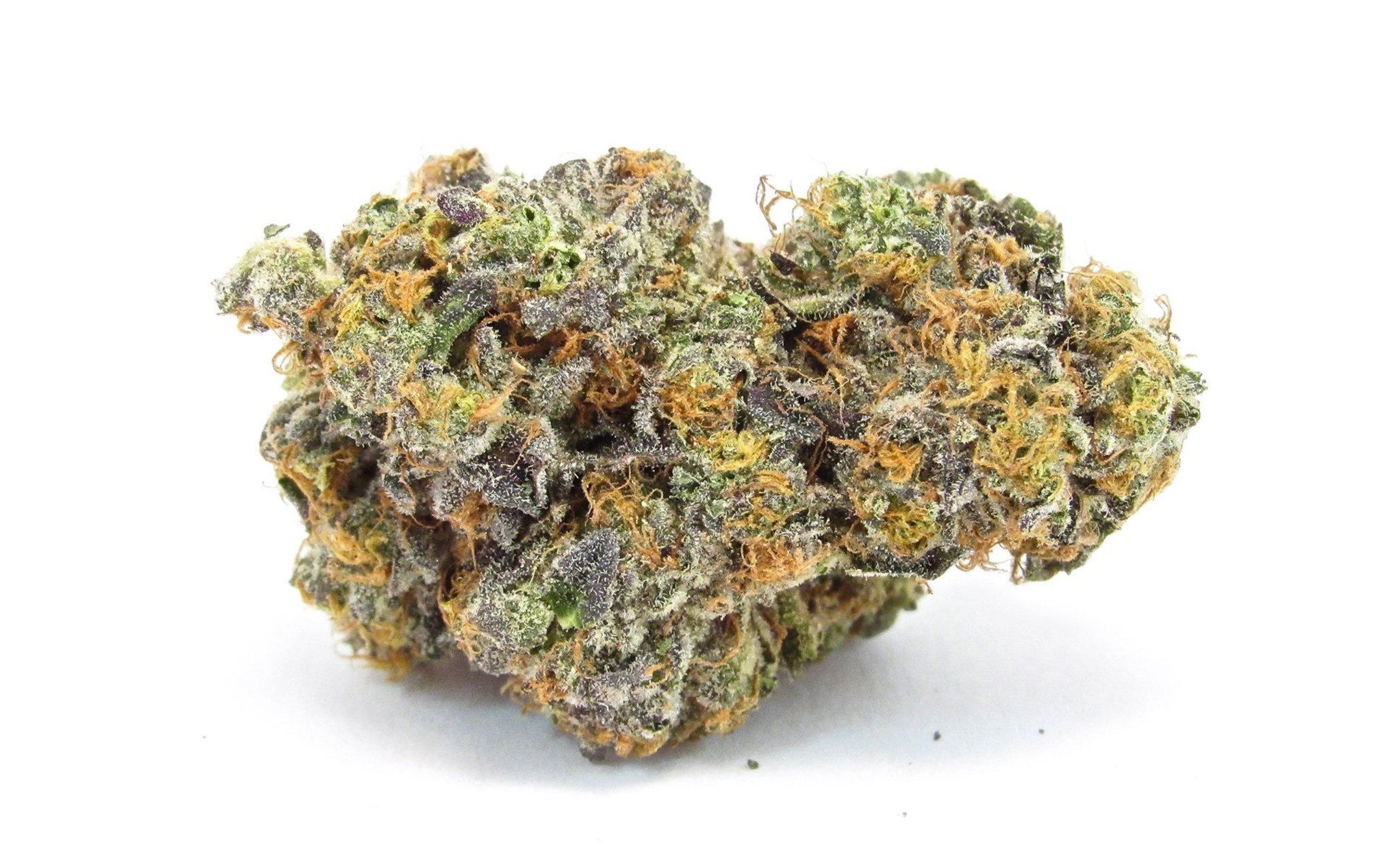 Photograph of product: Host Oui'd | GG #4 | H - 28g