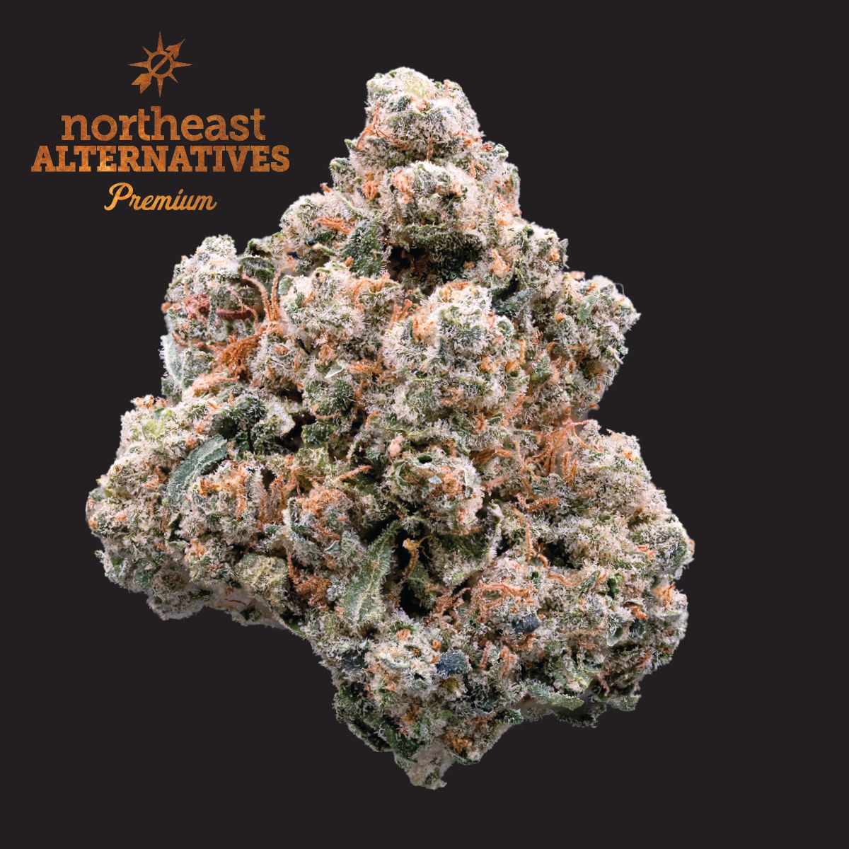 Photograph of product: ZSweet Inzanity - Oui'd [1/8oz] (NEA Premium) - 3.5g