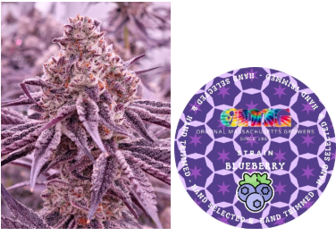 Photograph of product: 93 Blueberry Flower - 3.5g