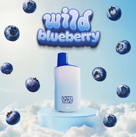 Photograph of product: WILD BLUEBERRY | 1G | DISPOSABLE
