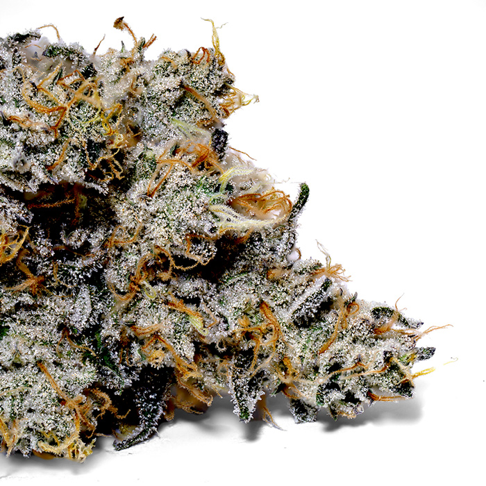 Photograph of product: Sneakerz - 7g