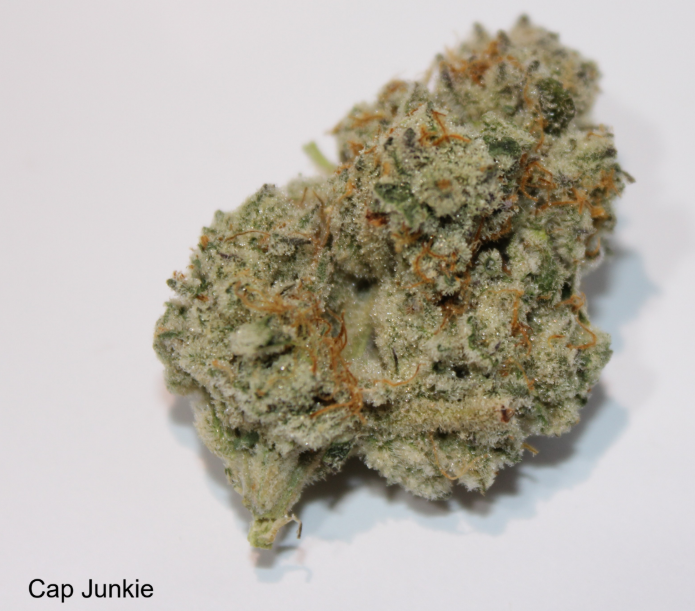 Photograph of product: Roemer Farms Flower - Cap Junkie - 3.5g