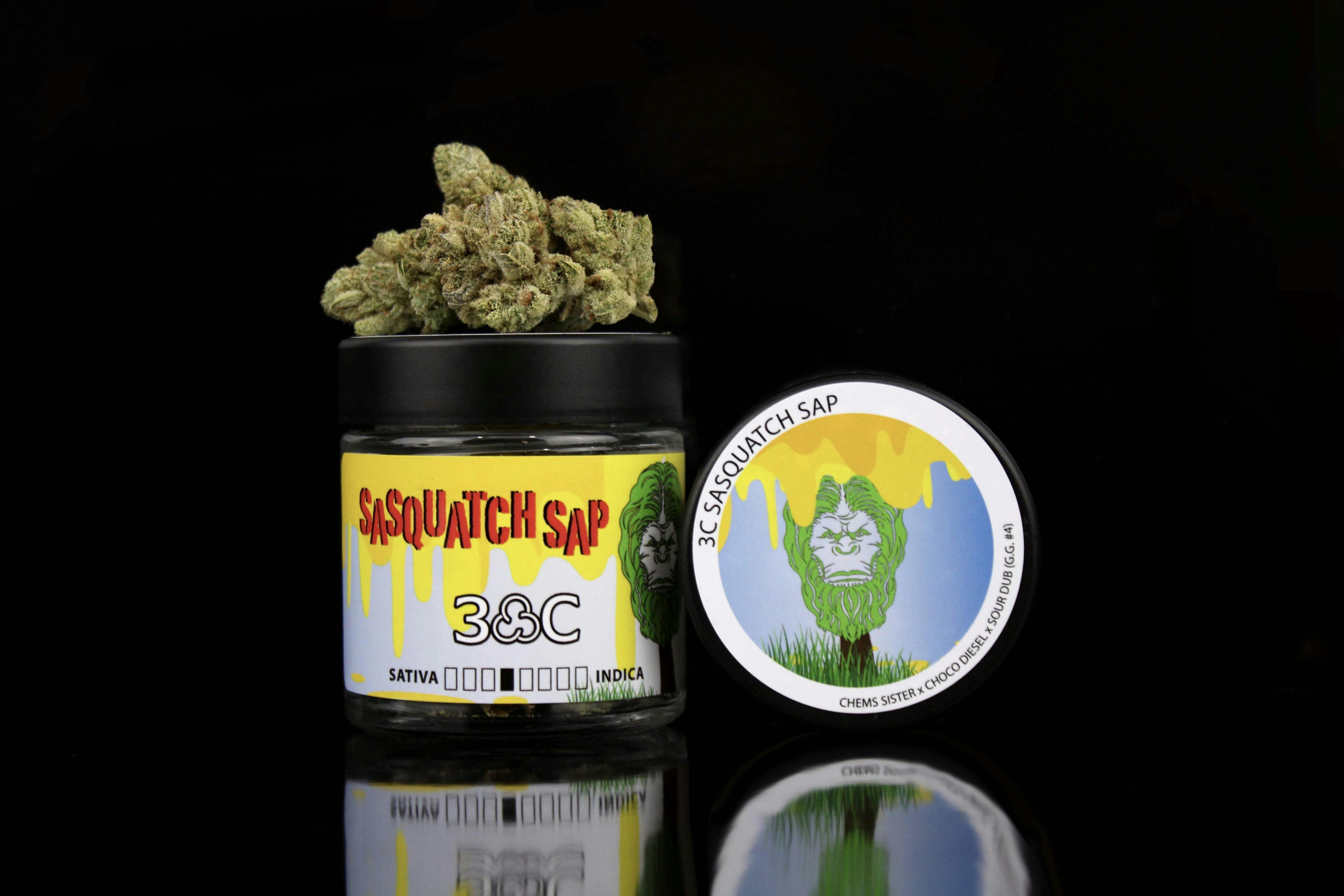 Photograph of product: SASQUATCH SAP | 3.5G | HYBRID