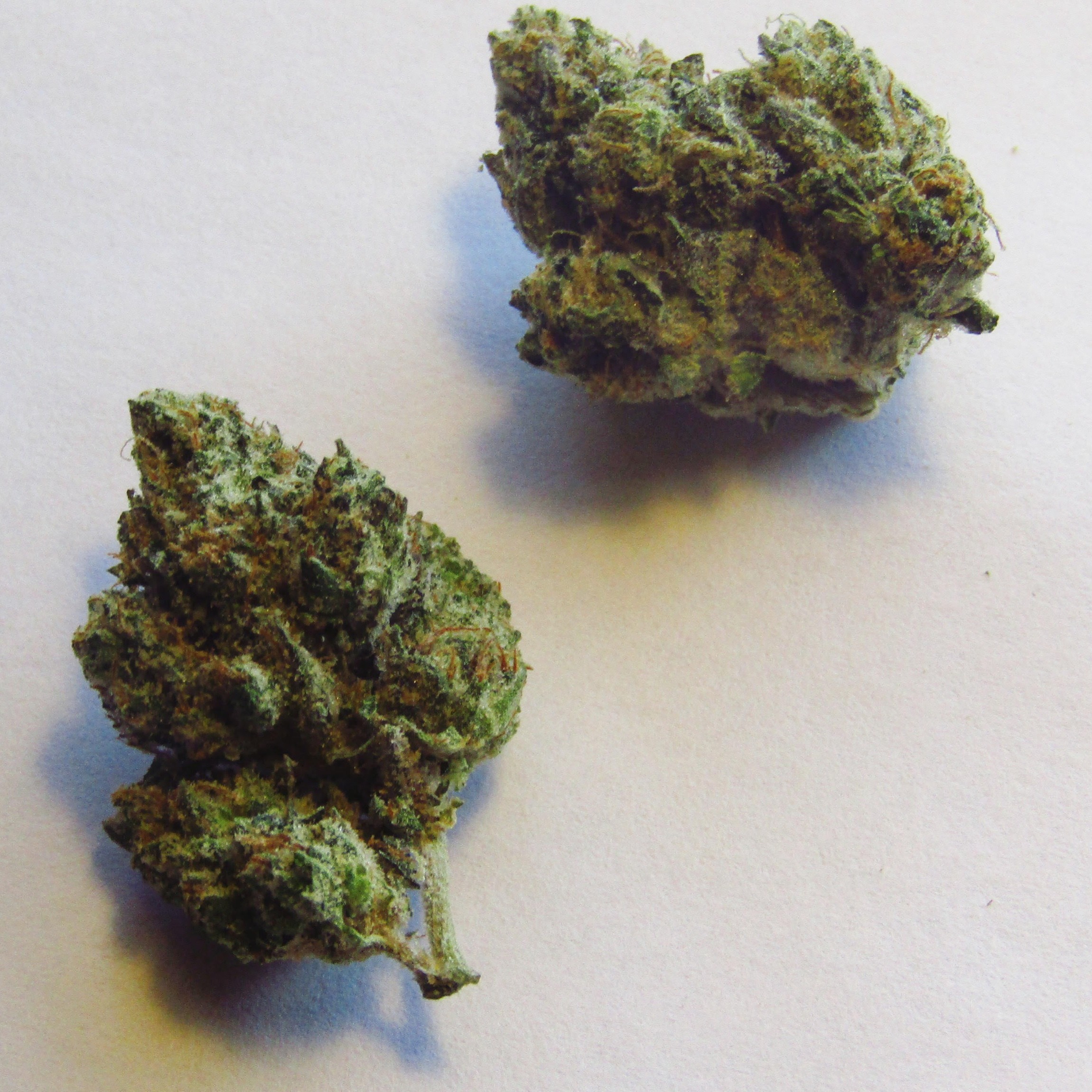 Photograph of product: Ice Cream Cake | Dime Bag | 14g | Buds