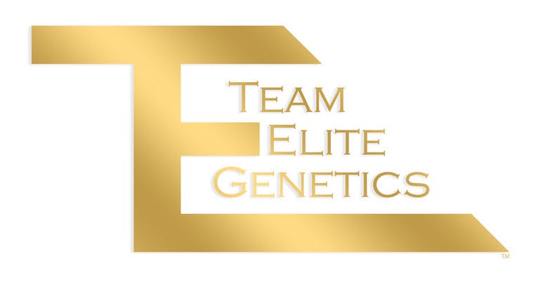 Photograph of product: THE RESISTANCE LIVE ROSIN AIO - 0.5 G