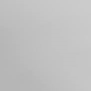 Photograph of Product: Shirt - Tamarack Whitefish $15 - Grey