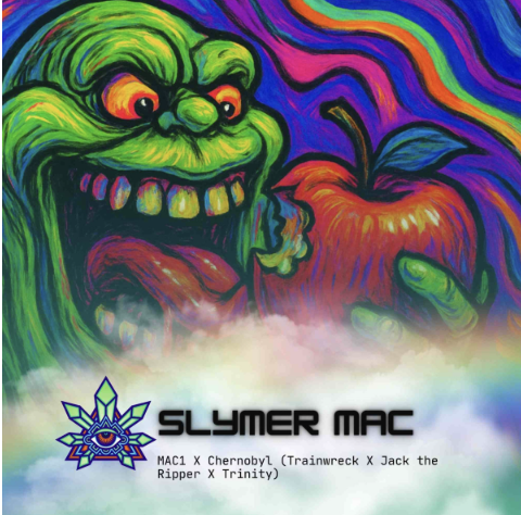Photograph of product: Emerald Vision | Slymer Mac | Pre-Roll 1g