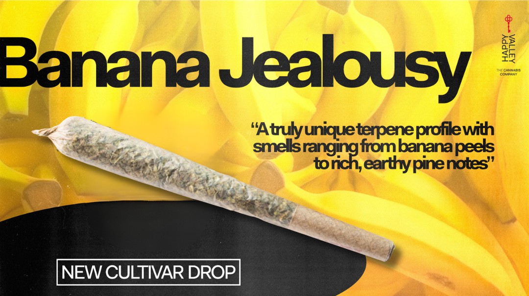 Photograph of product: Banana Jealousy | Pre-Roll 1pk | 1g