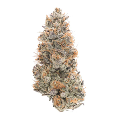 Photograph of product: FREEZE CUP EIGHTH