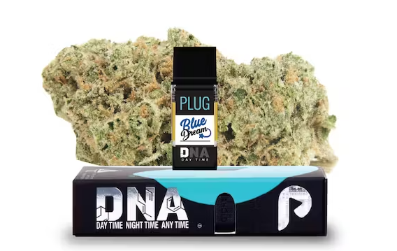Photograph of product: Blue Dream DNA Plug