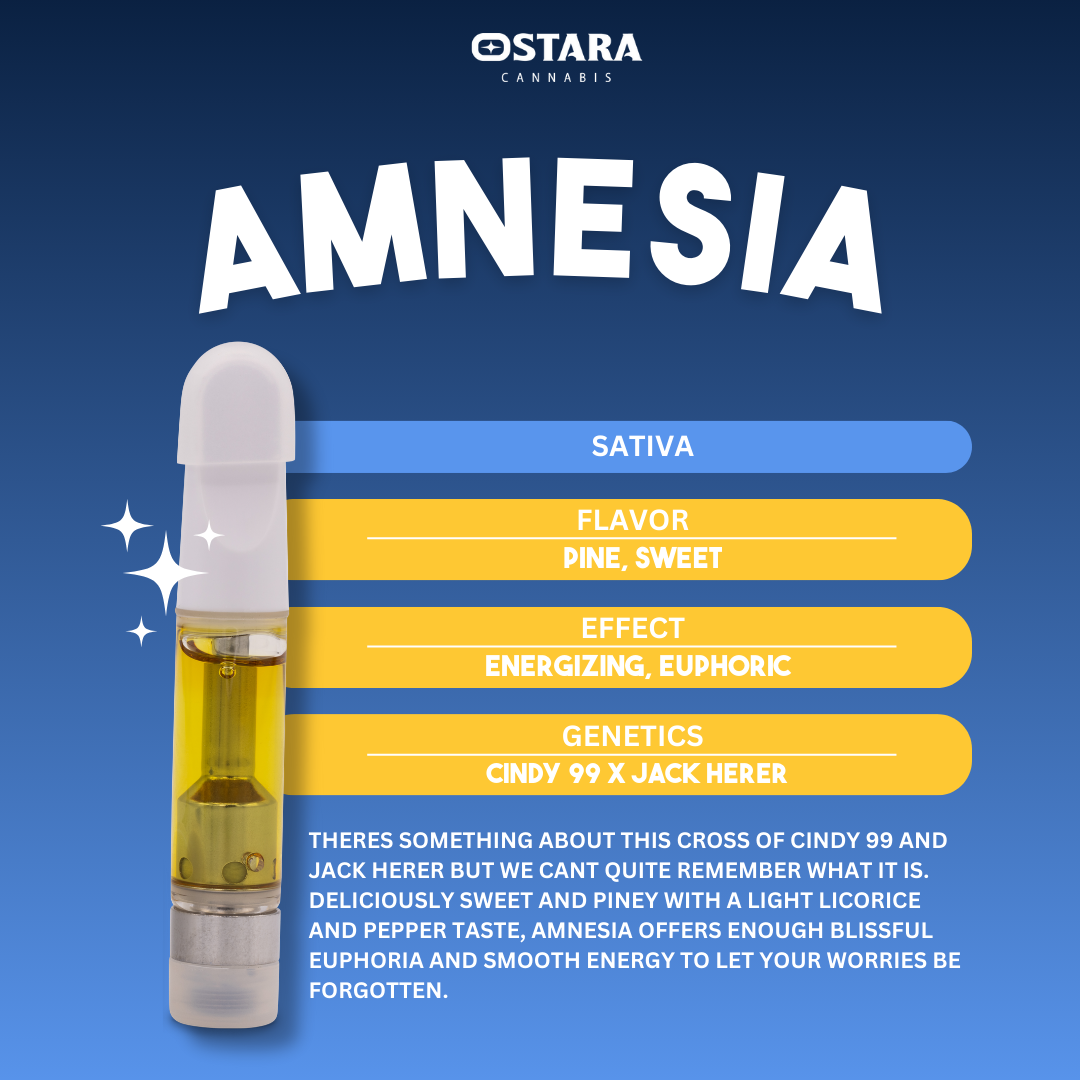 Photograph of product: Amnesia - Cart - 1g