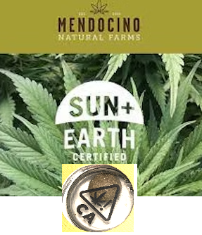 Photograph of product: GREEN CRACK 1G ICE WATER au chocolat