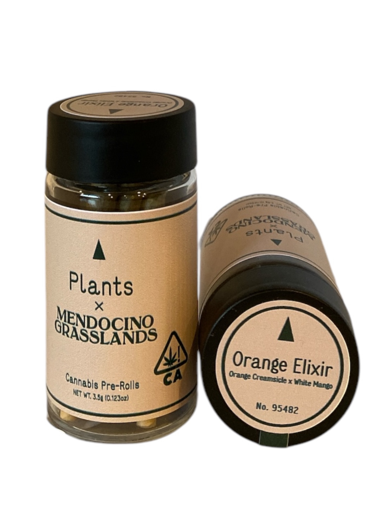 Photograph of product: ORANGE ELIXIR 7PK PLANTS X MENDOCINO GRASSLANDS