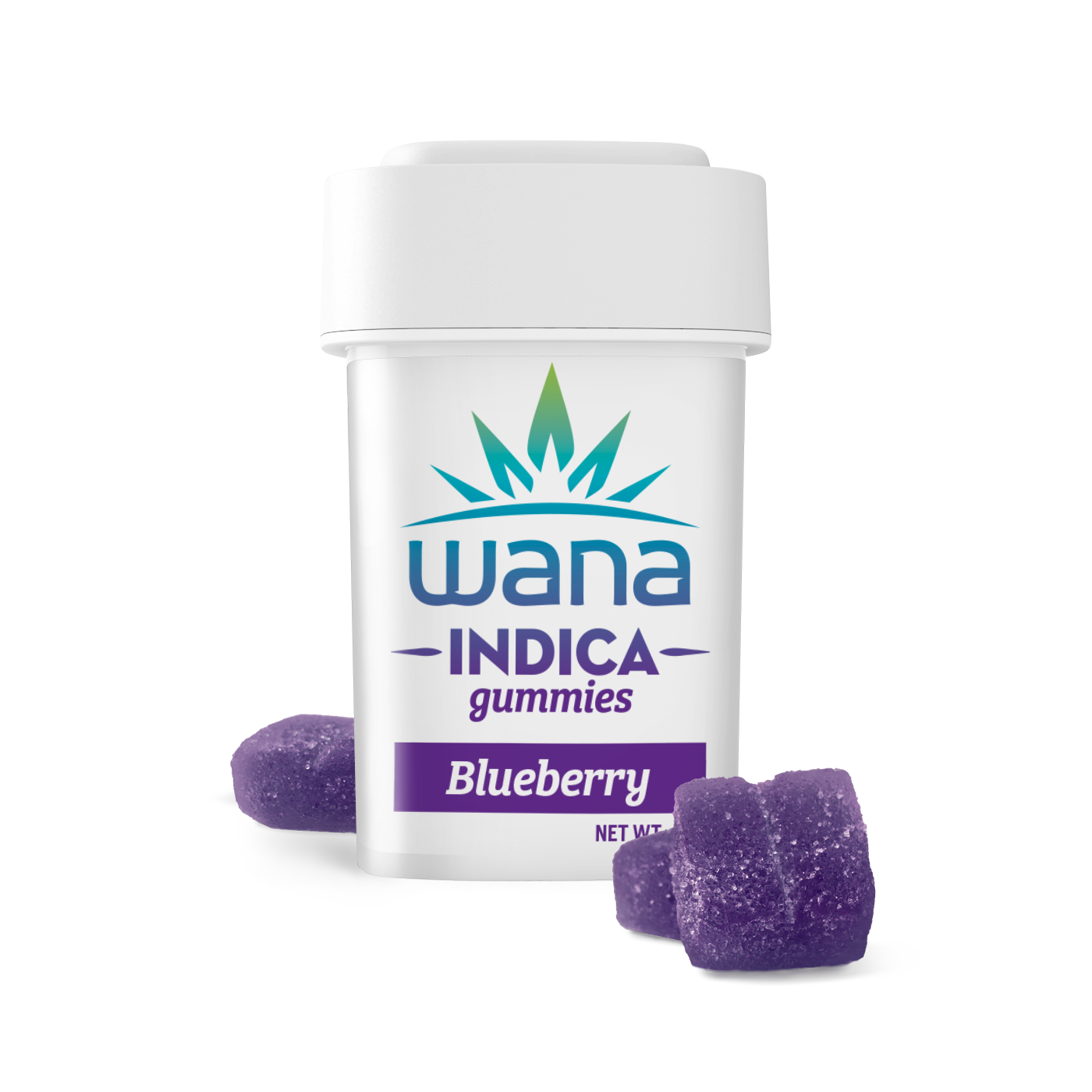 Photograph of product: Classic Blueberry Indica Gummies [10 pack] | 200mg