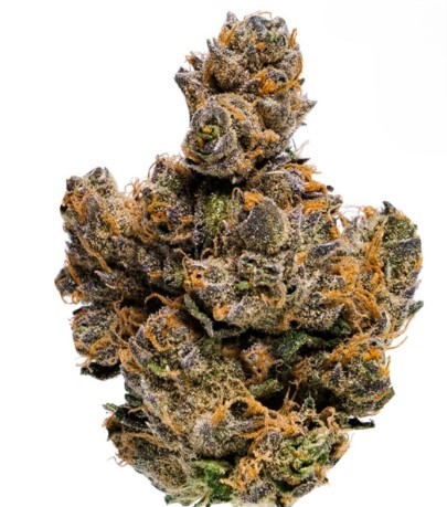 Photograph of product: Flower | Tropical Fire Breath - 28g