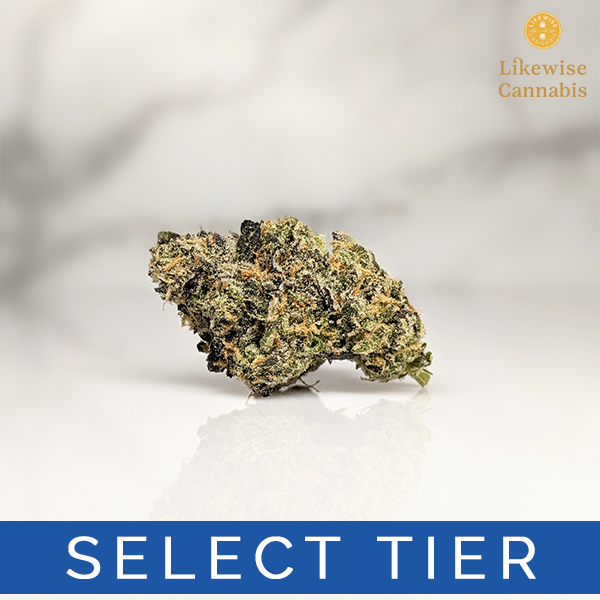 Photograph of product: GIRL SCOUT COOKIES X SHERBET - 14g