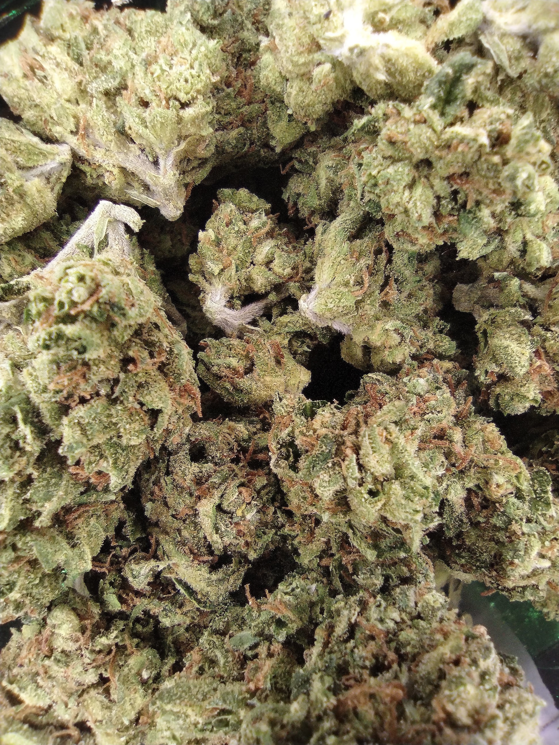 Photograph of product: Durban Posion - 28g