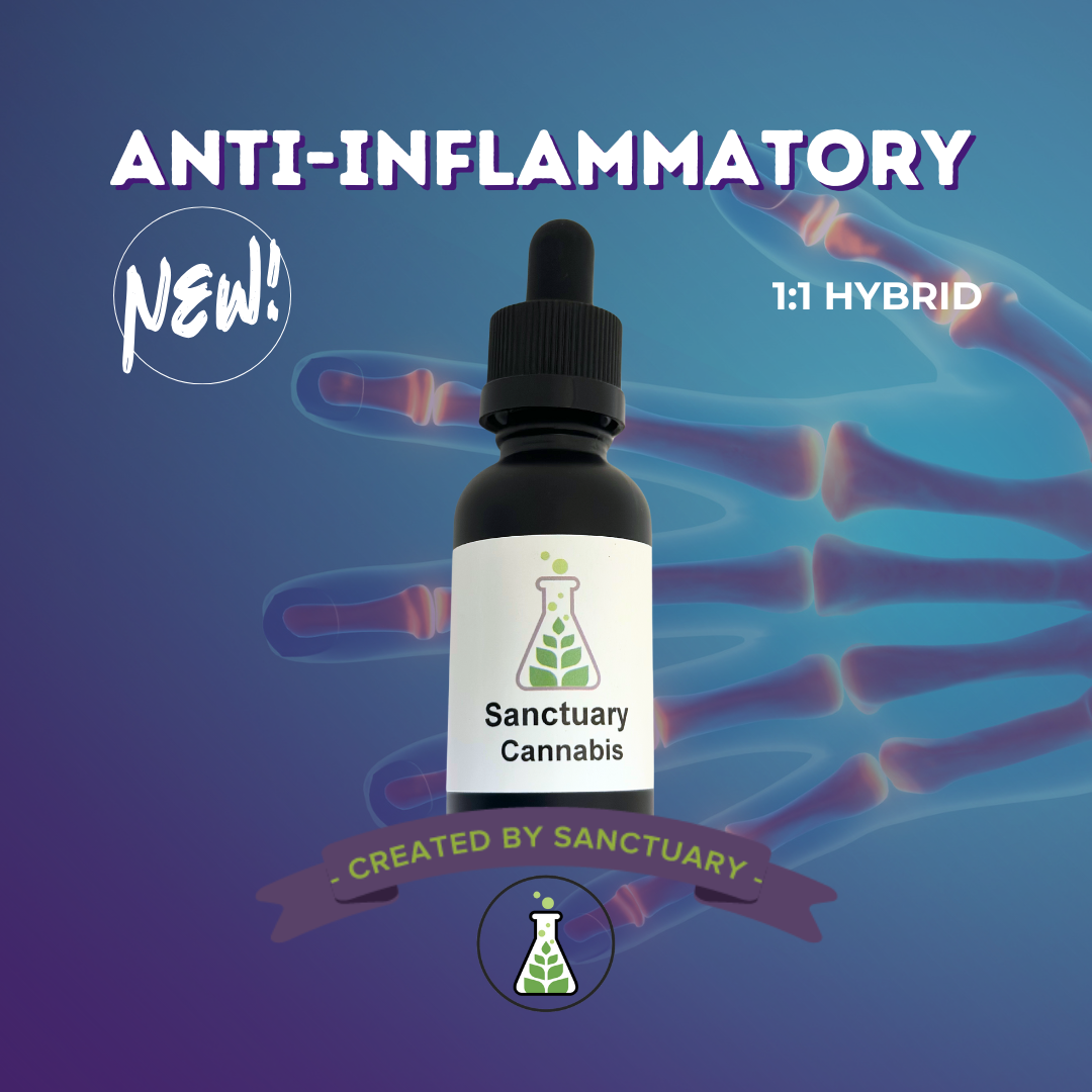 Photograph of product: 1:1 Anti-Inflammatory 15mL