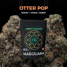 Photograph of product: Honey Green Zkittles Pie Preroll | 1g