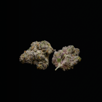 Photograph of product: Curaleaf Whole Flower 3.5g White Hot Guava (H) TC 25.337% 00808 (3.5g)