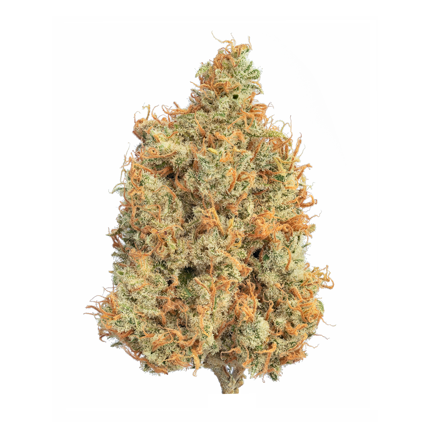 Photograph of product: Bold Cultivation Mr.Clean 3.5g Oui'd Flower