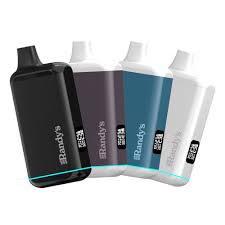 Photograph of product: Randy's INSPO Battery