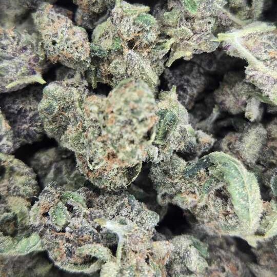 Photograph of product: Ultra Boof Bbuds by Boring Glory