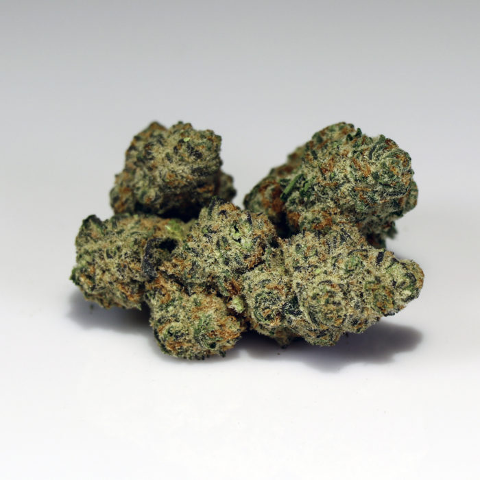 Photograph of product: COMMON CITIZEN | BULK FLOWER ANIMAL SORBET KUSH MINTS - 7g