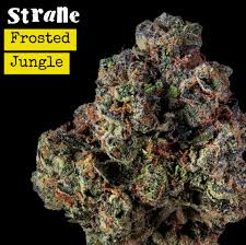 Photograph of product: Frosted Jungle Oui'd Flower | 28g | Strane