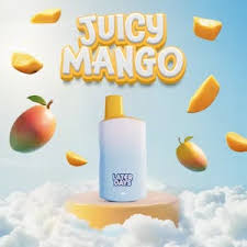 Photograph of product: Later Days Disposable Vape | Juicy Mango 2g