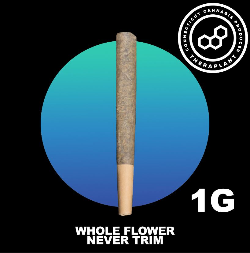 Photograph of product: Ice Cream Cke Pre Roll Single T19.50 (4-41139)