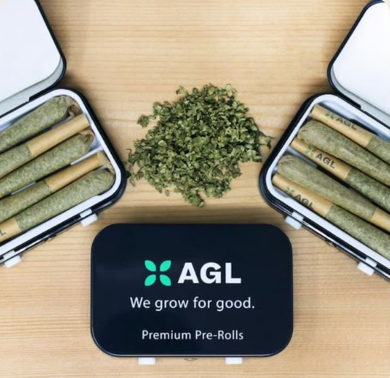 Photograph of product: AGL 5 Pack Minis Slapz (H) 00750 (5pk)